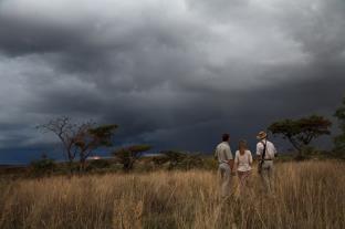 Makweti Safari Lodge Thabazimbi Eksteriør billede